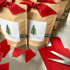 Garden in A Bag | Christmas Tree | Best Seller